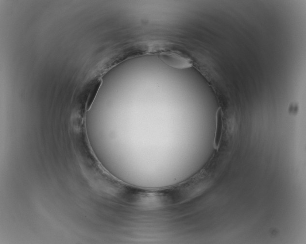 X0000111620316200907171111