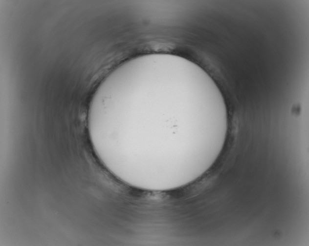 X0000111620321200907171111