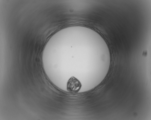 X0000111620325200907171111