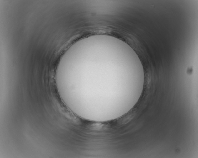 X0000111620326200907171111