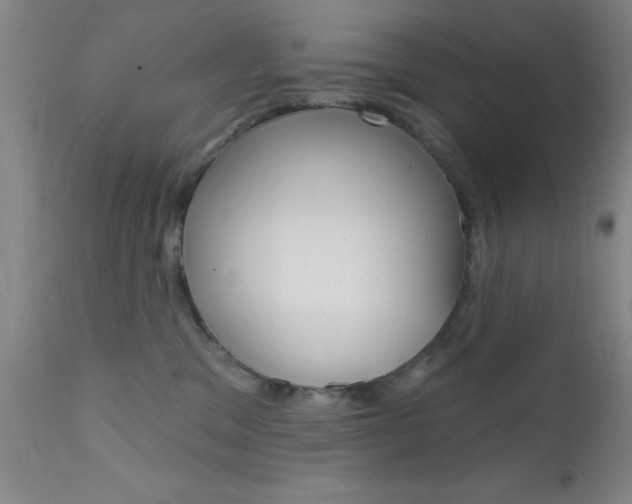 X0000111620329200907171111