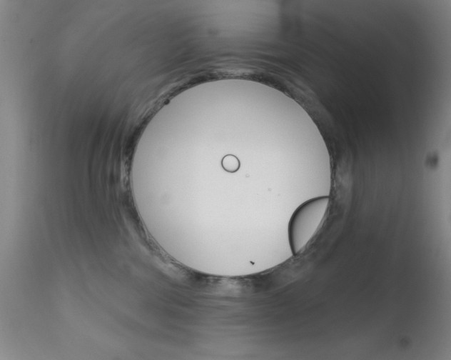 X0000111620330200907171111