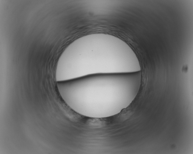 X0000111620331200907171111