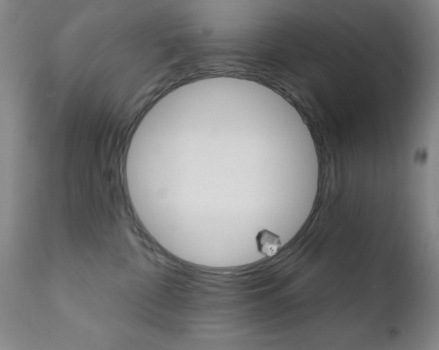 X0000111620332200907171111