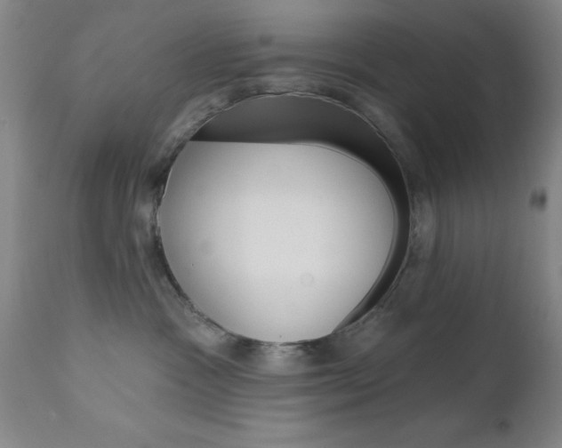 X0000111620333200907171111