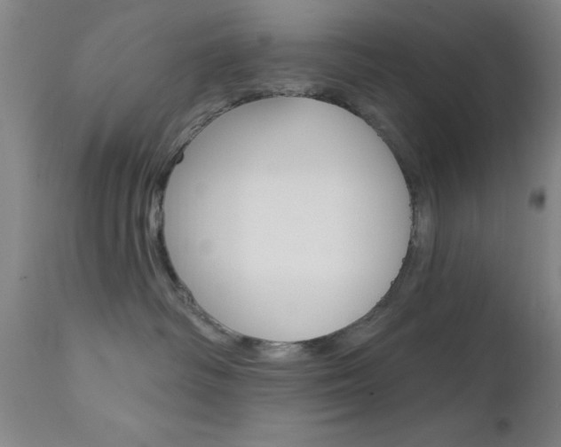 X0000111620334200907171110