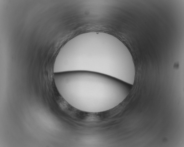 X0000111620335200907171110