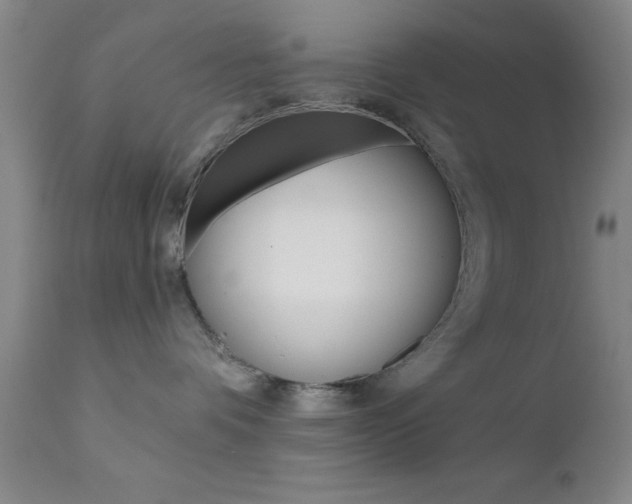 X0000111620336200907171110