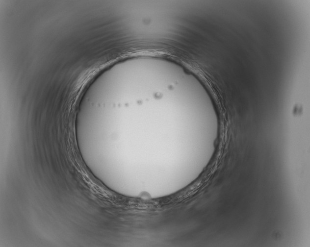 X0000111620337200907171110