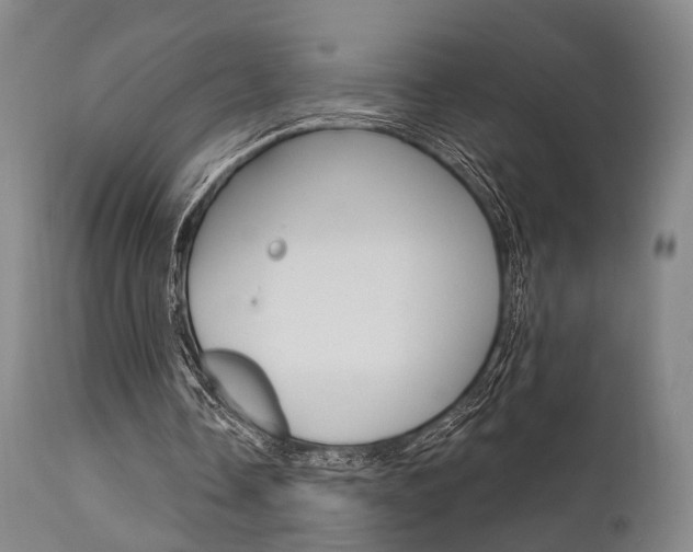 X0000111620338200907171110