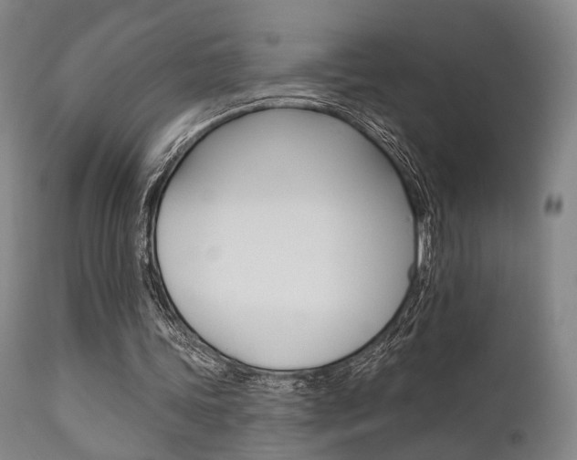 X0000111620339200907171110