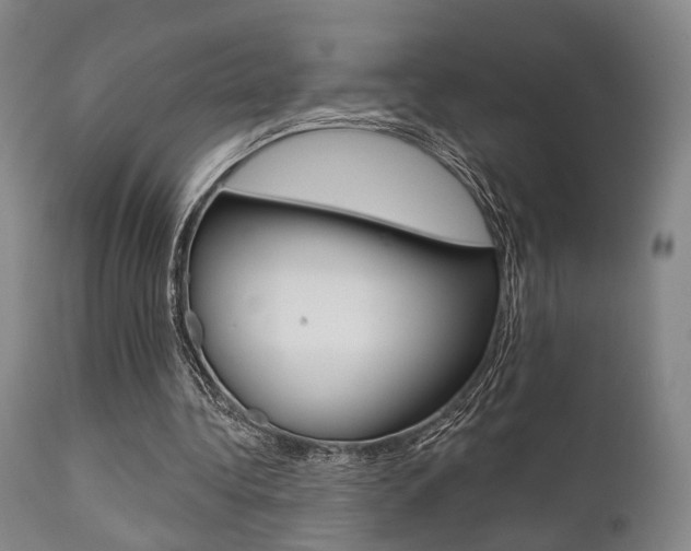 X0000111620340200907171110