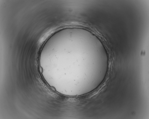 X0000111620341200907171110