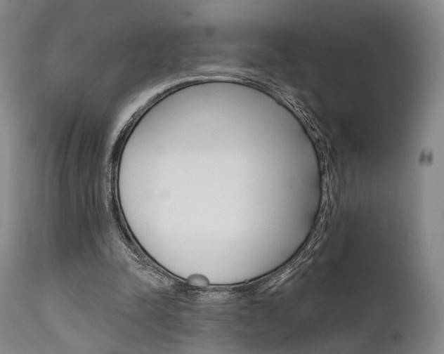 X0000111620342200907171110