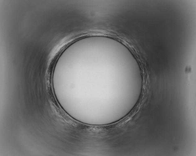 X0000111620343200907171110
