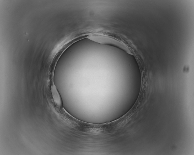 X0000111620344200907171110