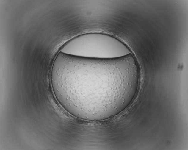 X0000111620345200907171110