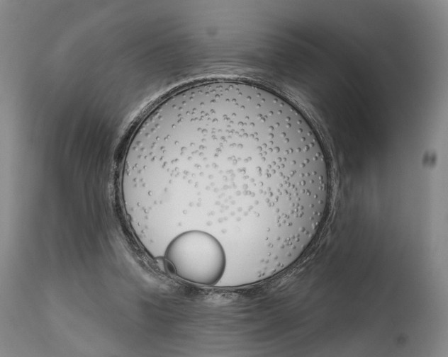 X0000111620346200907171110