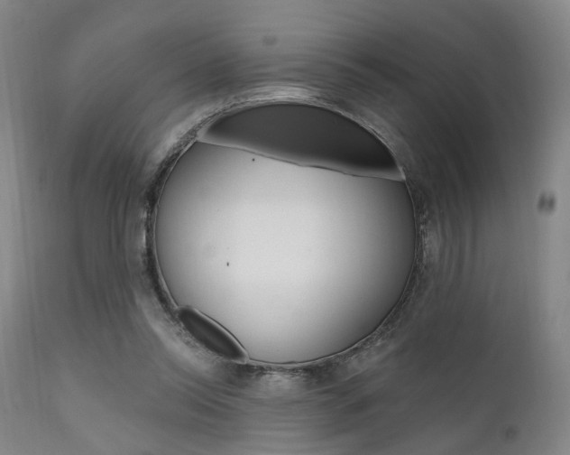 X0000111620350200907171110