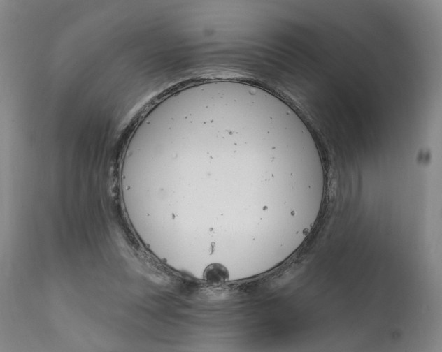 X0000111620351200907171110