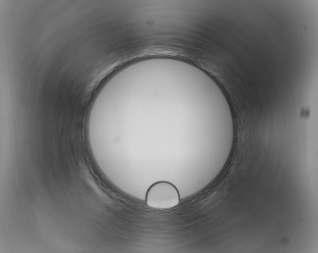 X0000111620352200907171110