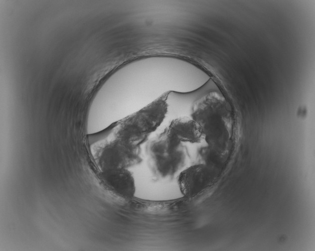 X0000111620353200907171110