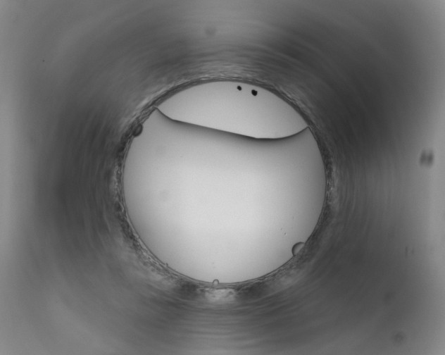 X0000111620355200907171110