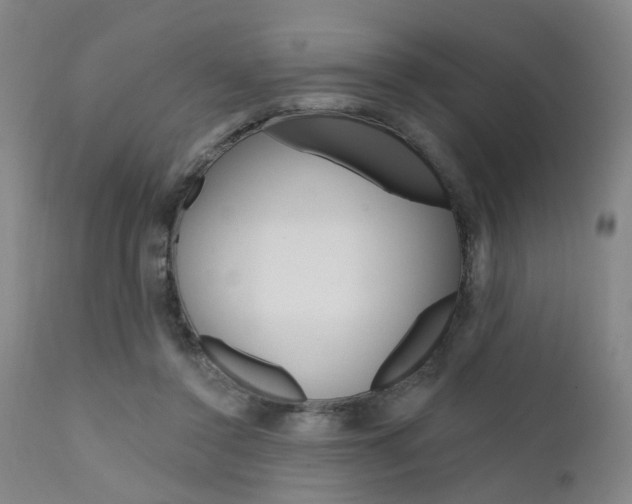 X0000111620356200907171110