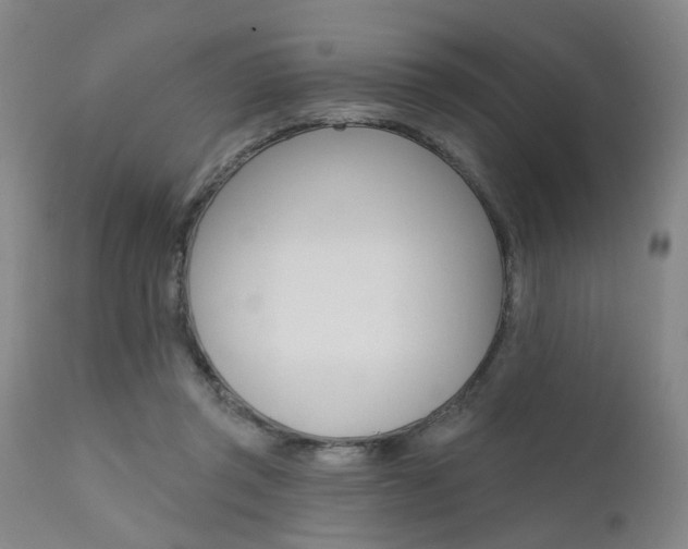 X0000111620357200907171110