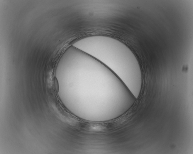X0000111620360200907171110