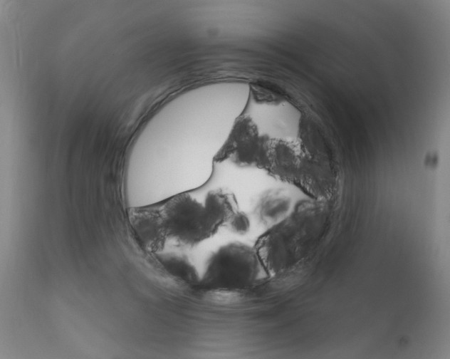 X0000111620361200907171110