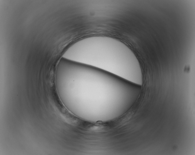 X0000111620364200907171110