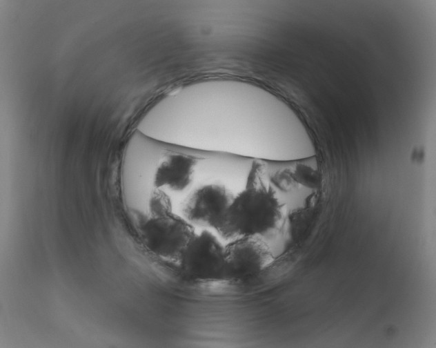 X0000111620365200907171110