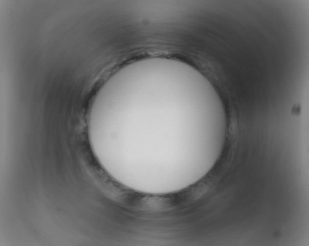 X0000111620367200907171110
