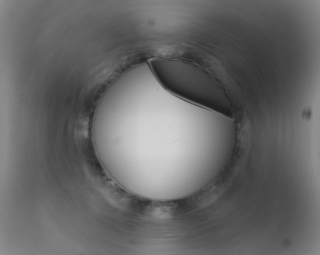 X0000111620368200907171110