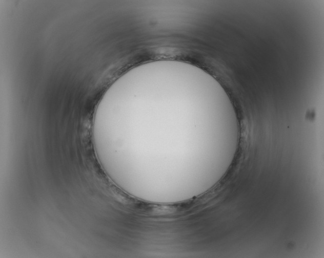 X0000111620369200907171110