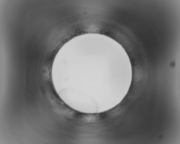 X0000111620370200907171110