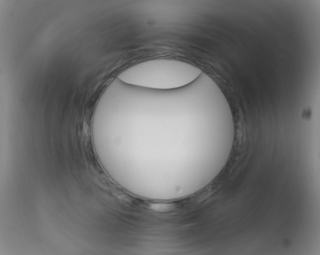 X0000111620371200907171110