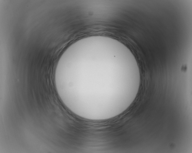 X0000111620372200907171110