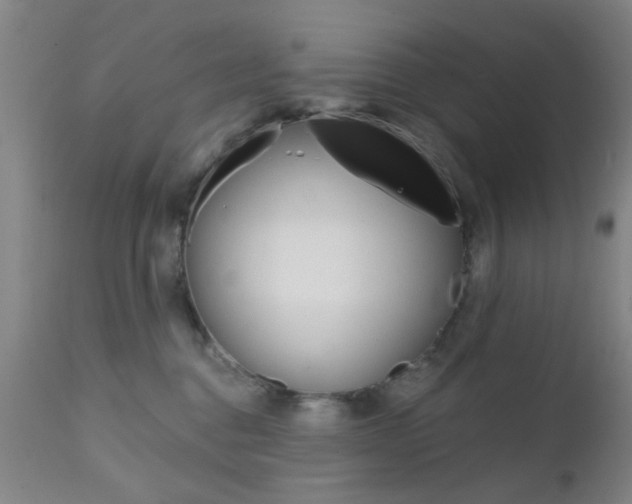 X0000111620376200907171110