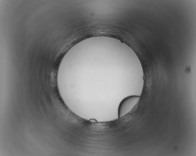X0000111620378200907171110