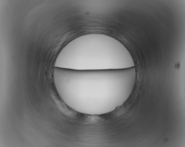 X0000111620379200907171110