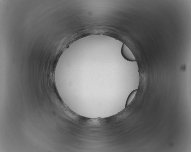 X0000111620381200907171110