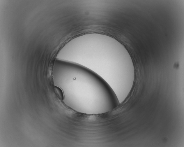 X0000111620382200907171110