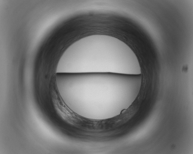 X0000111620383200907171110