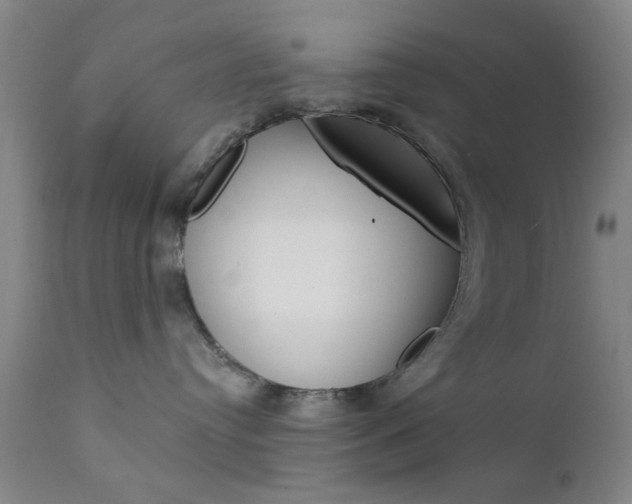 X0000111620384200907171110