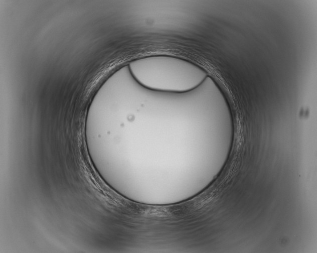 X0000111620386200907171110