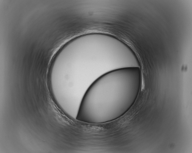 X0000111620387200907171110