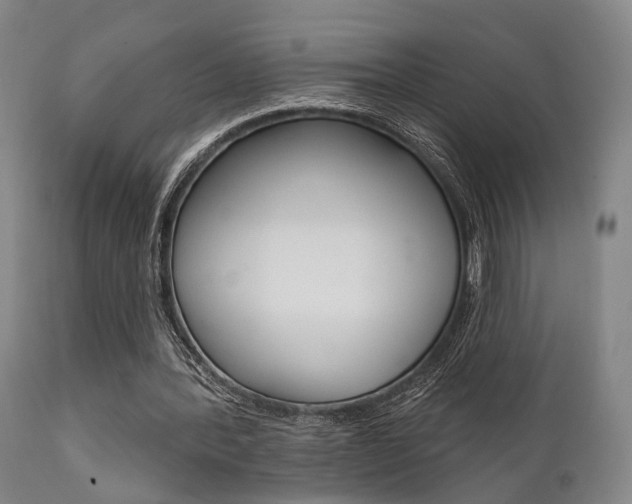 X0000111620388200907171110