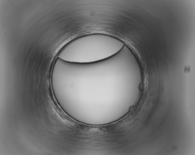 X0000111620390200907171110